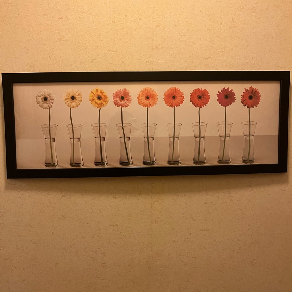 Framed Gerbera Daisies Photo